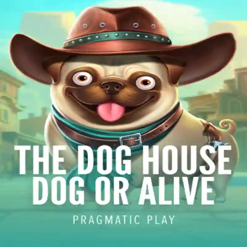 Tragamonedas Dog House Dog & Alive en winova Casino